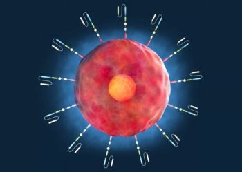 اکسیر جوانی در بدن انسان کشف شد