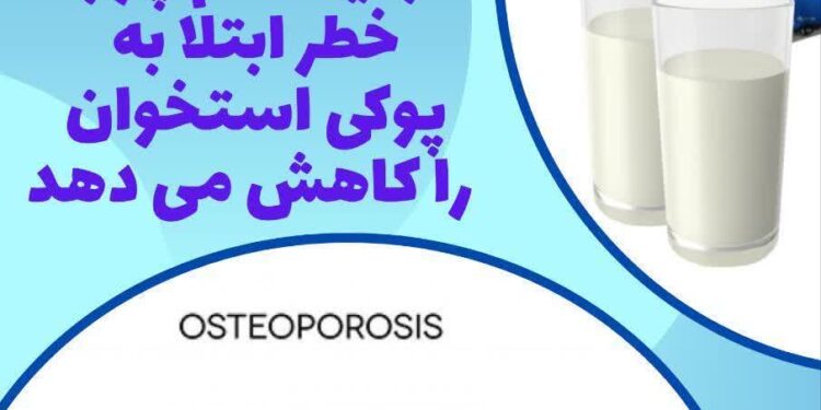 لبنیات کم چرب خطر ابتلا به پوکی استخوان را کاهش می دهد