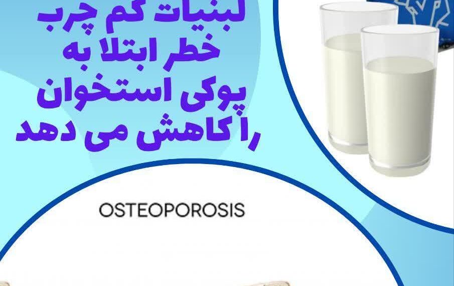 لبنیات کم چرب خطر ابتلا به پوکی استخوان را کاهش می دهد