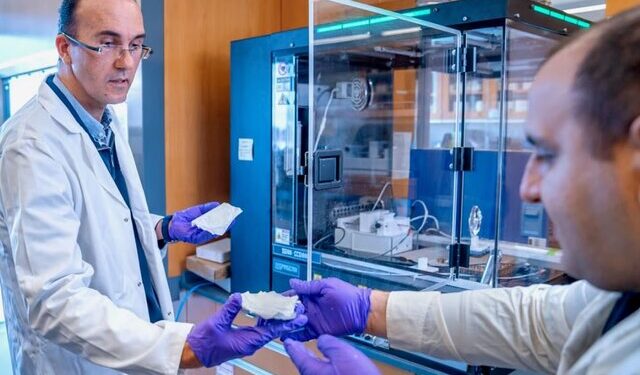 دانشمند ایرانی پانسمان نابودگر باکتری بدون آنتیبیوتیک ساخت