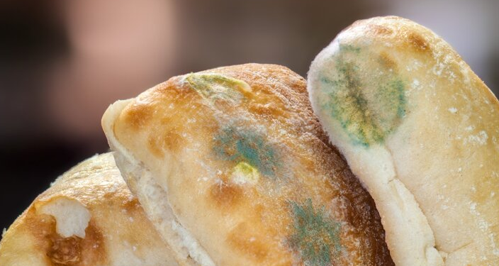 کپک روی مواد غذایی؛ کاملا دور بیاندازیم یا فقط آن قسمت را جدا کنیم؟