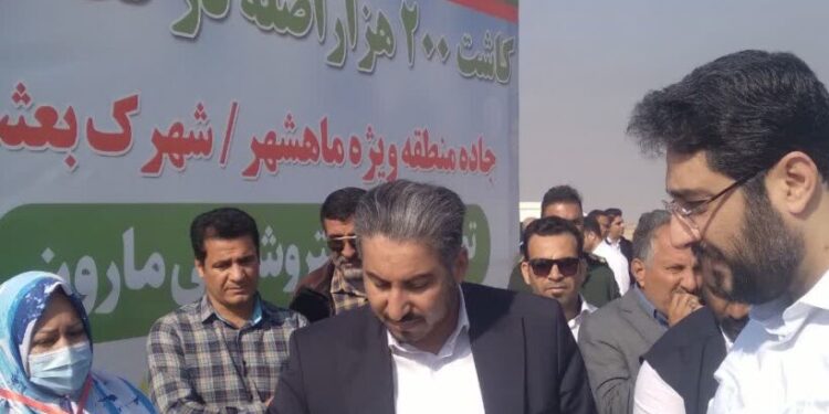 وعده دکتر امرایی محقق شد : نهال کاری میلیونی پتروشیمی مارون در راستای ایفای مسئولیت های اجتماعی