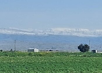 یک روز برفی در دزفول