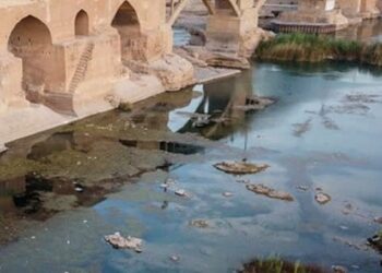 رودخانه دز، پنهان زیر پوست فاضلاب‌های شهری