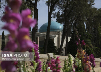 سعدی به آسان‌ترین شکل ممکن گونه‌های شعر فارسی را آفریده است