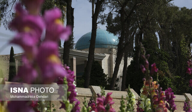 سعدی به آسانترین شکل ممکن گونههای شعر فارسی را آفریده است