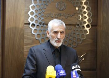 میراحمدی اعلام کرد پیش‌بینی ۵ میلیون زائر برای اربعین/ آغاز ثبت‌نام‌ها از ذی‌الحجه