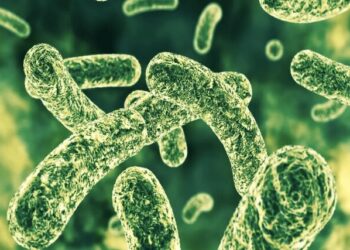 کمک گیمرها به نقشه‌برداری از میکروبیوم روده وقتی گیمرها از هوش مصنوعی بهتر عمل می‌کنند