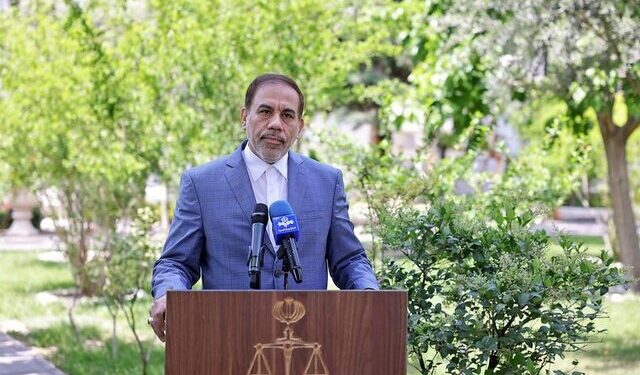 سخنگوی قوه قضاییه خبر داد حکم اعدام بابک زنجانی نقض شد/ پرونده باغ ازگل در دست تحقیقات/ آخرین وضعیت چای دبش