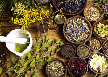 فروش داروی گیاهی در عطاری‌ها ممنوع است/همکاری با پلیس فتا