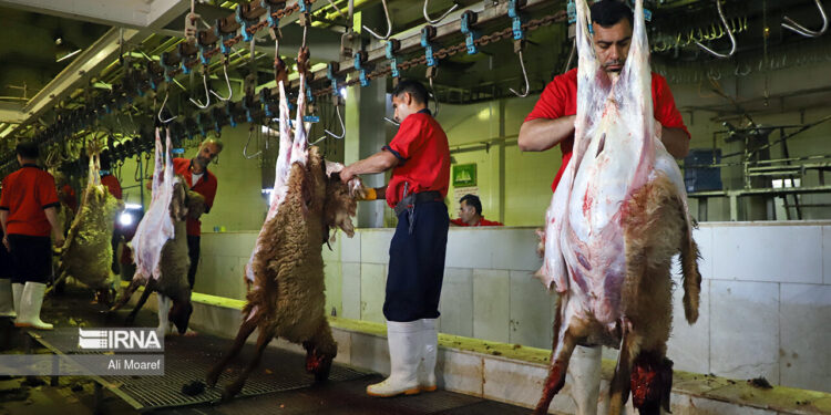 توصیه دامپزشکی دزفول به ذبح قربانی در کشتارگاه دام