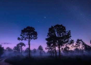همنشینی صبحگاهی ۶ سیاره منظومه خورشیدی با ماه در هفته جاری