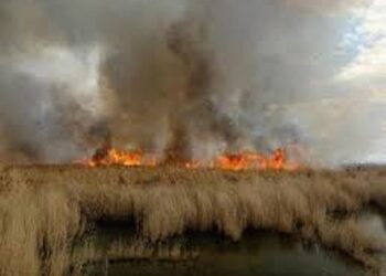 مدیرکل حفاظت محیط زیست خوزستان عنوان کرد احتمال آتش‌سوزی بخش عراقی هورالعظیم با گرمای شدید/ رایزنی با عراق برای اطفای حریق‌ها