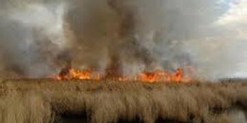 مدیرکل حفاظت محیط زیست خوزستان عنوان کرد احتمال آتش‌سوزی بخش عراقی هورالعظیم با گرمای شدید/ رایزنی با عراق برای اطفای حریق‌ها