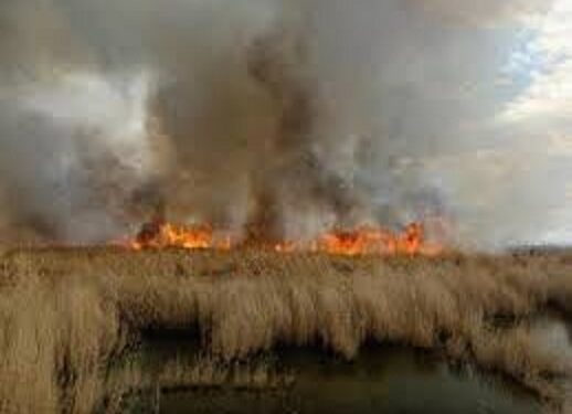 مدیرکل حفاظت محیط زیست خوزستان عنوان کرد احتمال آتشسوزی بخش عراقی هورالعظیم با گرمای شدید/ رایزنی با عراق برای اطفای حریقها