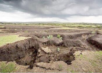 سرپرست سازمان منابع طبیعی و آبخیزداری کشور: فرسایش خاک در ایران بیشتر از نرم دنیاست