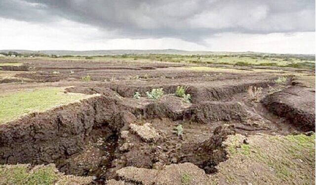 سرپرست سازمان منابع طبیعی و آبخیزداری کشور: فرسایش خاک در ایران بیشتر از نرم دنیاست