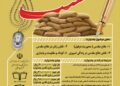 فراخوان نخستین جشنواره ملی داستان کوتاه کوتاه در دزفول منتشر شد