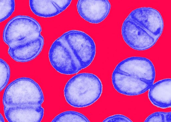 ۵ راهی که علم برای مبارزه با بحران مقاومت آنتی بیوتیک پیش گرفته است