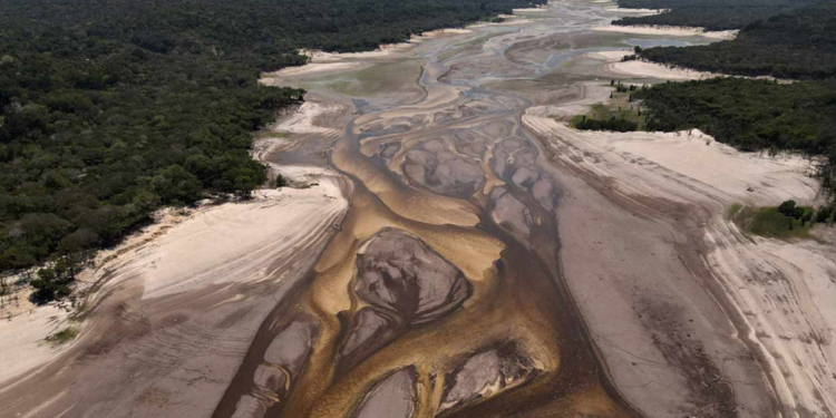 خشکسالی به جان رودخانه آمازون افتاد!
