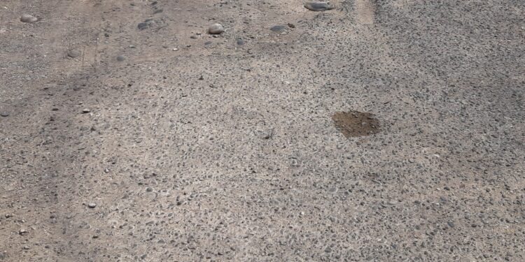 ثمرات نهضت آسفالت در دزفول،به این خیابان نمی رسد؟