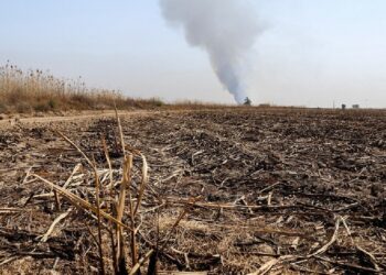 آتش زدن بقایای کشاورزی باعث مرگ «بیولوژیک» خاک می‌شود