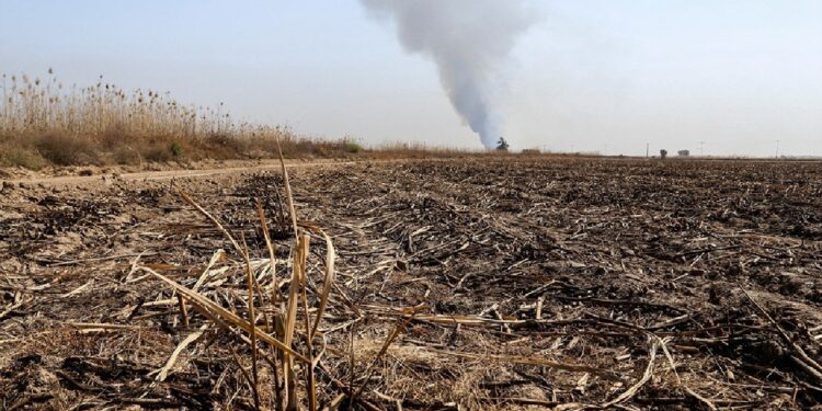 آتش زدن بقایای کشاورزی باعث مرگ «بیولوژیک» خاک میشود