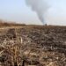 آتش زدن بقایای کشاورزی باعث مرگ «بیولوژیک» خاک میشود