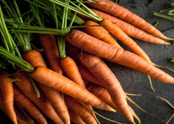 هویج، قهرمان مخفی جنگ جهانی دوم!