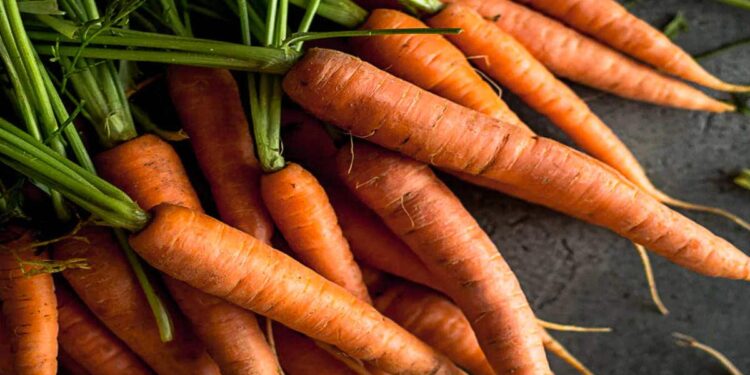 هویج، قهرمان مخفی جنگ جهانی دوم!