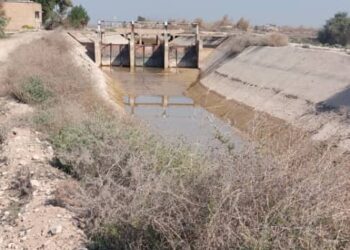 مصاحبه اختصاصی صبح ملت با رئیس شورای کار نیشکر هفت‌تپه درباره سهیمه آب و معیشت کارگران