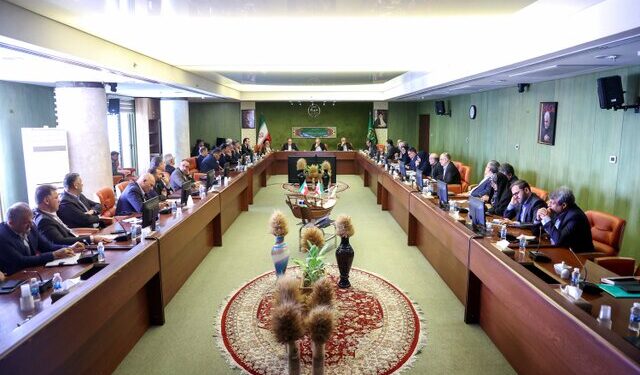 پزشکیان در نشست با وزیر و مسئولان وزارت جهادکشاورزی: هر برنامهای برای توسعه باید به قید پایدار مقید شود