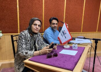 «کپوبافی»هنر تجسمی با ریشه‌های خانوادگی و افتخارات جهانی؛ نیازمند حمایت است