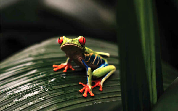 شاهکار عکاسی که در سال ۲۰۲۵ برندۀ جایزه شدند