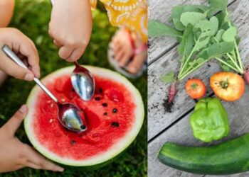 مواد غذایی سرشار از آب: راهکار علمی برای حفظ هیدراتاسیون بدن در فصل گرما