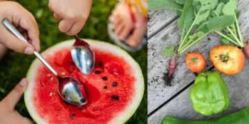 مواد غذایی سرشار از آب: راهکار علمی برای حفظ هیدراتاسیون بدن در فصل گرما