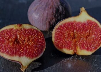 انجیر؛ میوه‌ای شیرین با خواص شگفت‌انگیز برای گوارش و قلب