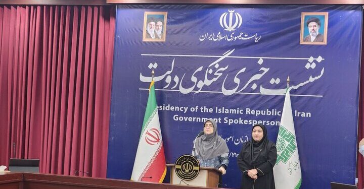 سخنگوی دولت: وزارت دفاع و خارجه پیگیر وضعیت خلبانان ایرانی در قطر هستند